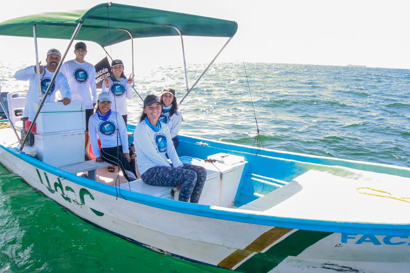 En este momento estás viendo Realizan universitarios expedición y monitoreo de mamíferos marinos en Colima