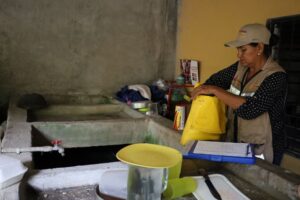 Lee más sobre el artículo Salud Colima seguirá aplicando control larvario en municipios con riesgo de dengue