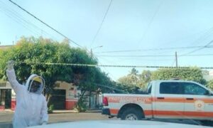 Lee más sobre el artículo Deja ataque de abejas 4 lesionados y dos mascotas fallecidas en la colonia Fátima