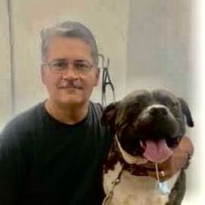 Lee más sobre el artículo Denuncia veterinario falta de control ante enfermedades en animales callejeros