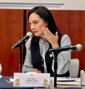 Lee más sobre el artículo Propone Mely Romero subsidio del 50% en internet y telefonía para estudiantes