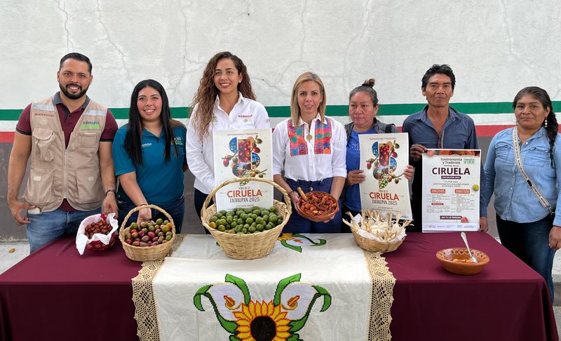 En este momento estás viendo Invitan a la Feria de la Ciruela Zacualpan 2025, el 17 y 18 de mayo