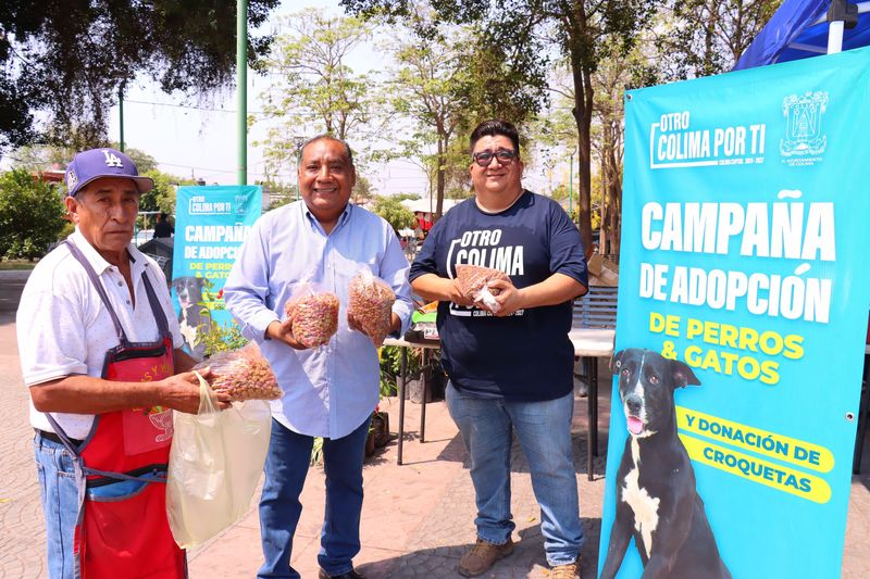 En este momento estás viendo Promueve Ayuntamiento de Colima adopción de mascotas y donación de croquetas