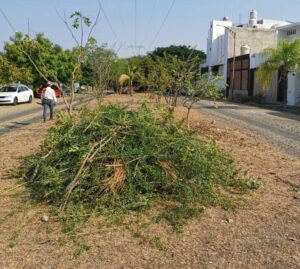 Lee más sobre el artículo Mejoran áreas verdes en Valle Dorado y Santa Bárbara