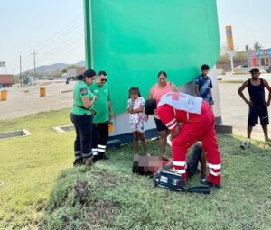 Lee más sobre el artículo Atropellan a un hombre en la autopista Tecomán-Manzanillo