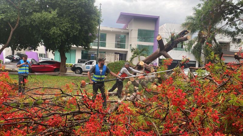 En este momento estás viendo Ayuntamiento de Colima responde con rapidez ante primeras lluvias de la temporada