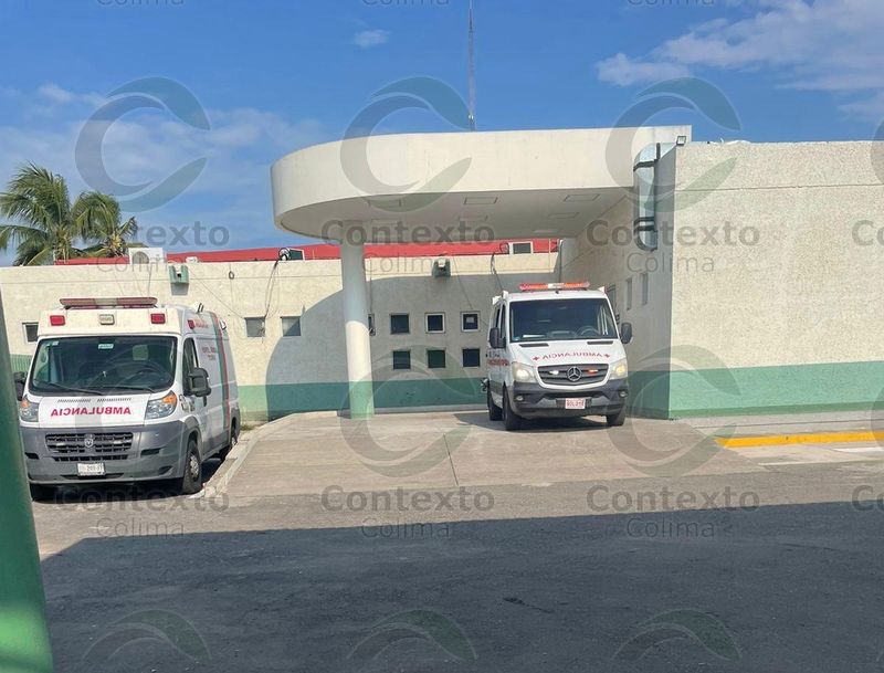 En este momento estás viendo Grave, mujer tras ser atacada por abejas en Tecomán