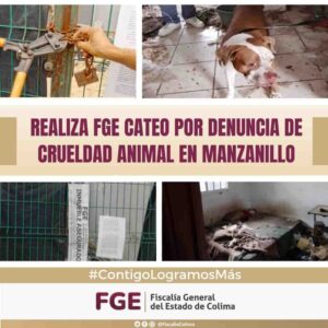 Lee más sobre el artículo Realiza FGE cateo por denuncia de crueldad animal en Manzanillo