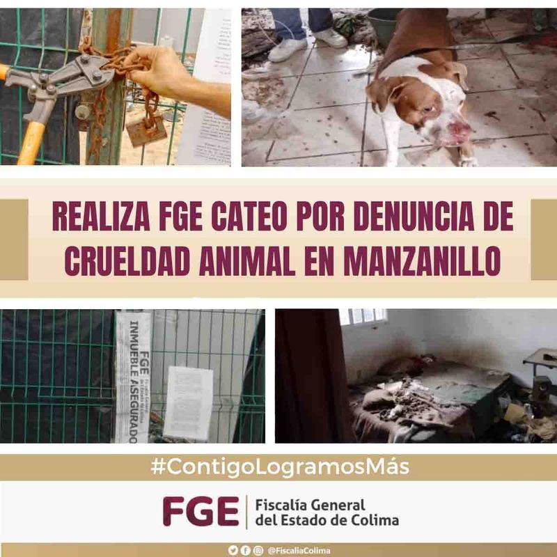 En este momento estás viendo Realiza FGE cateo por denuncia de crueldad animal en Manzanillo