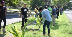 Lee más sobre el artículo Impulsan reforestación urbana en avenida Niños Héroes de Colima