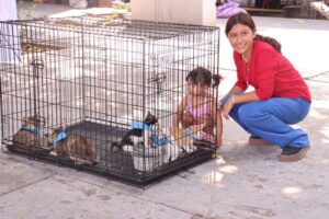 Lee más sobre el artículo Logra Centro de Control Canino de Colima más de 300 adopciones responsables