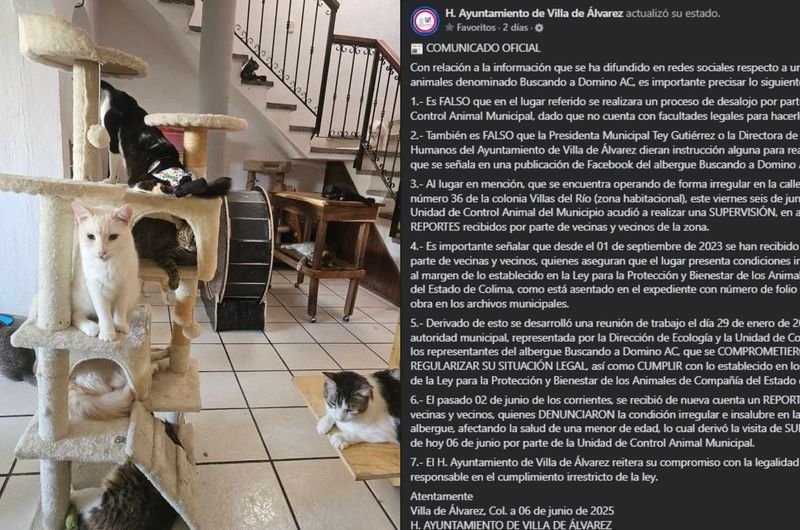 En este momento estás viendo Denuncian hostigamiento de autoridades municipales contra albergue de gatos en Villa de Álvarez