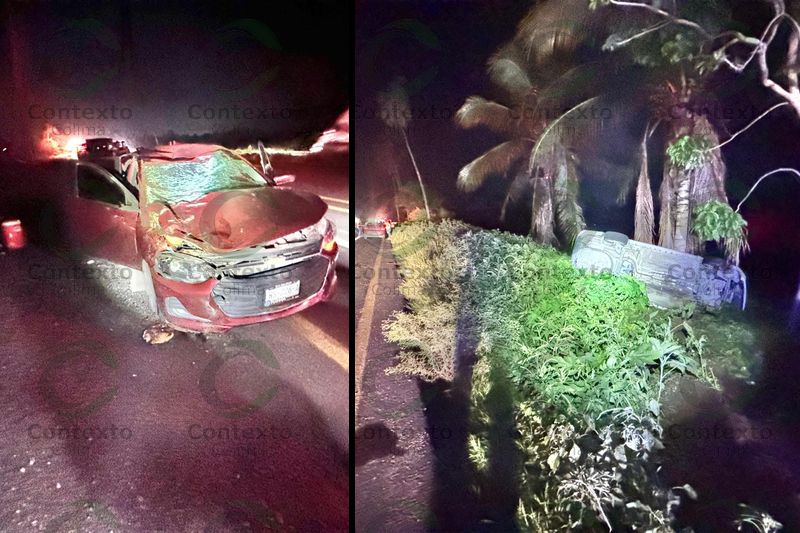 En este momento estás viendo Caballo en la autopista Colima – Manzanillo provoca carambola: 2 lesionados y 5 vehículos dañados