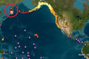 Lee más sobre el artículo Descartan tsunami en Colima tras terremoto de 8.7 en costas de Rusia