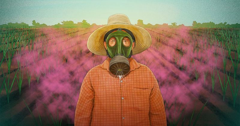 En este momento estás viendo Alertan sobre agroquímicos peligrosos en México y etiquetas poco claras