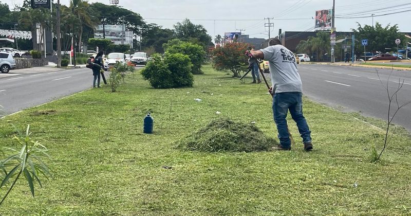 En este momento estás viendo Realizan jornada de poda y limpieza en camellones y jardines de Colima