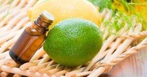 Lee más sobre el artículo Importaciones de aceite de limón afectan precios del fruto en México: Consejo Estatal del Limón