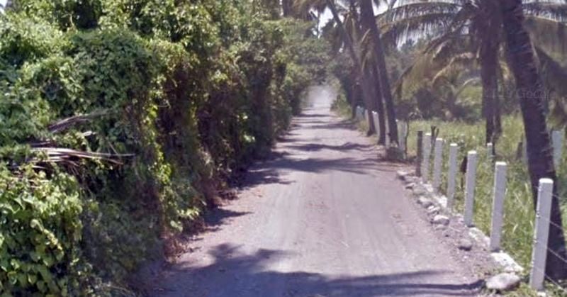 En este momento estás viendo Fallece hombre de 80 años tras ataque de abejas, en la zona de La Quebradora, en Armería