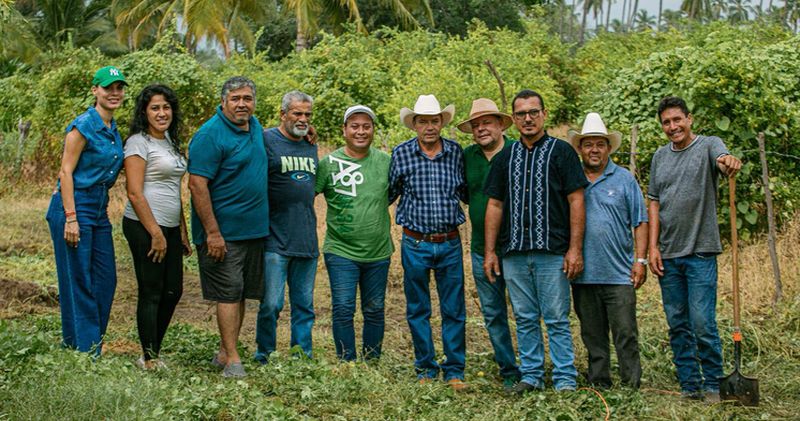 En este momento estás viendo Realizan en Cofradía de Juárez la primera jornada de reforestación ‘Un futuro más verde’
