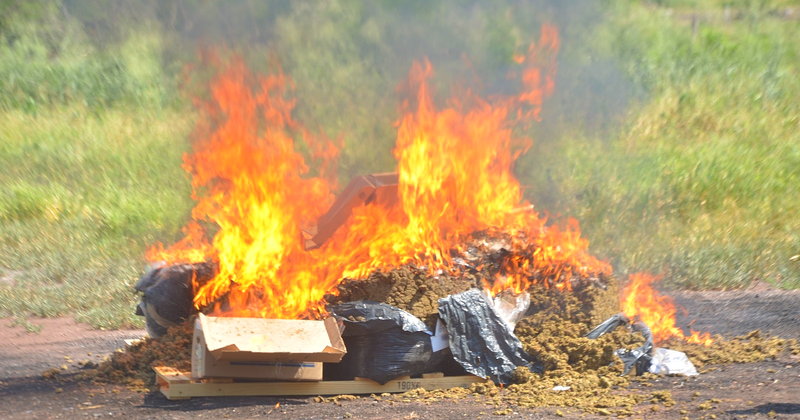 En este momento estás viendo Incineran más de 171 kilos de enervantes en Colima