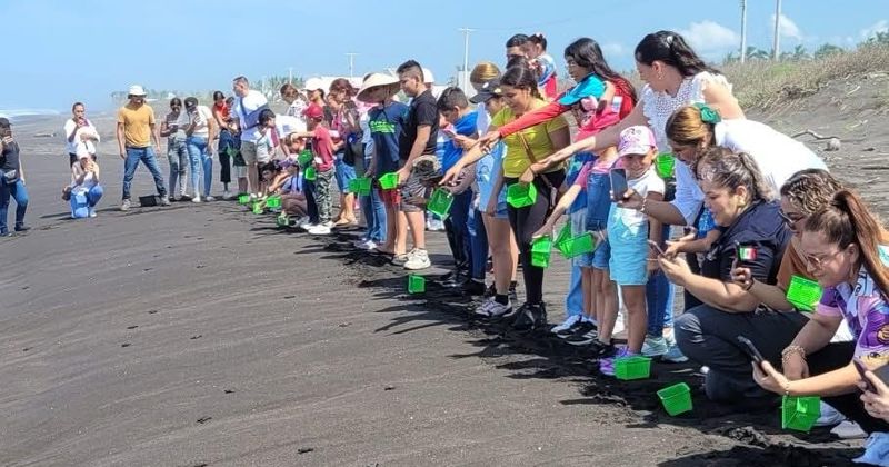 En este momento estás viendo Tortugario de Cuyutlán subsiste solo con el respaldo de sus visitantes