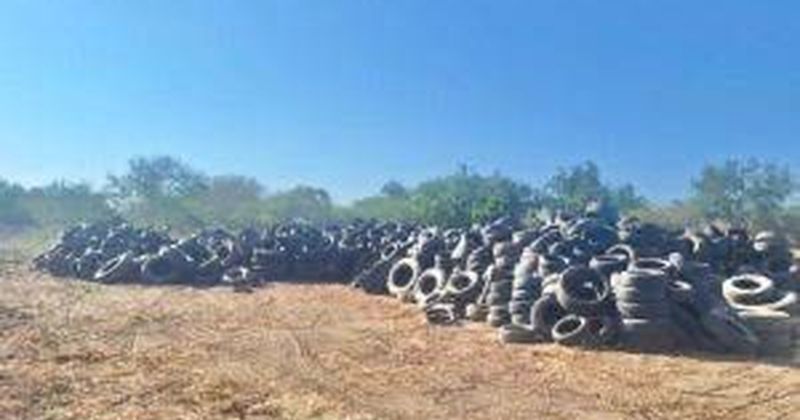 En este momento estás viendo Anuncian tercer ‘Llantatón’; suman más de 6 mil 400 neumáticos recolectados en 2025