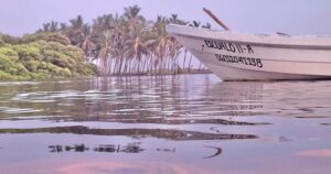 Lee más sobre el artículo Terremotos en el mundo afectan la pesca en Tecuanillo, advierten pescadores