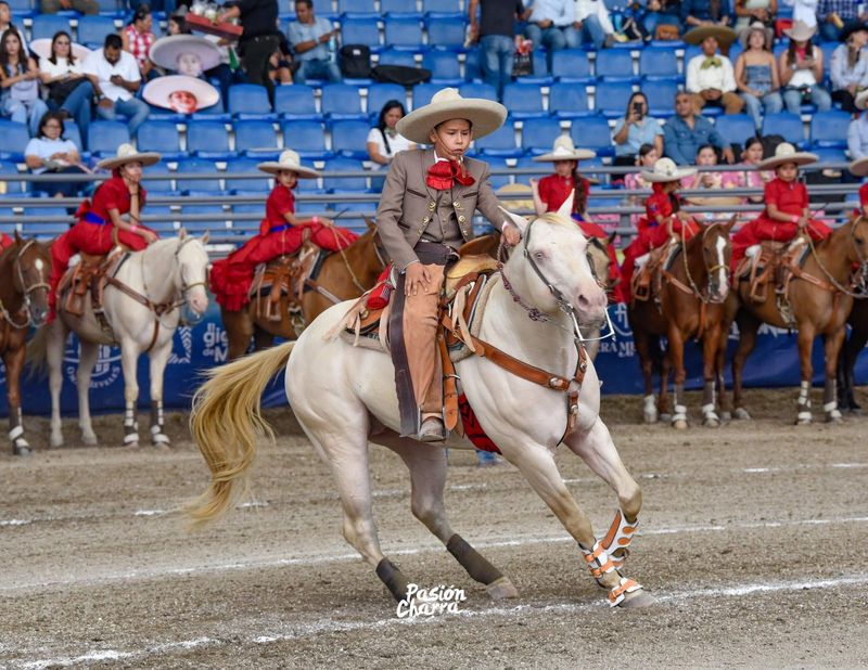 En este momento estás viendo Organizan Charreada con Causa en Tecomán para apoyar construcción del CRIT en Colima