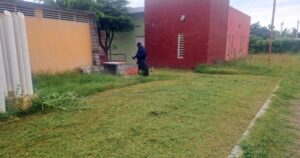 Lee más sobre el artículo Gobierno de Tecomán refuerza limpieza en avenida Carlos de la Madrid y Unidad Deportiva de Real del Valle