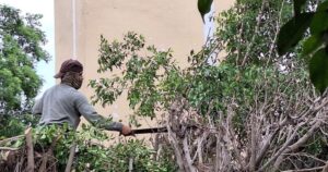 Lee más sobre el artículo Brigada de Servicio Social del Sindicato de Burócratas atiende llamado en Santa Rosa, Tecomán