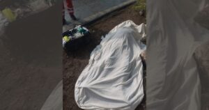 Lee más sobre el artículo Muere hombre y cuatro más resultan heridos por ataque de abejas en Caleras