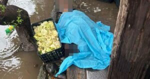 Lee más sobre el artículo Muere hombre afuera de una tienda en la colonia Las Palmas en Tecomán