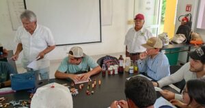 Lee más sobre el artículo Conmemoran en Tecomán el Día Nacional del Maíz