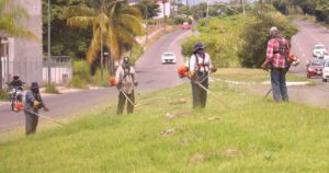 Lee más sobre el artículo Cuadrilla de Parques y Jardines de Colima realiza mantenimiento en camellones del Tercer Anillo