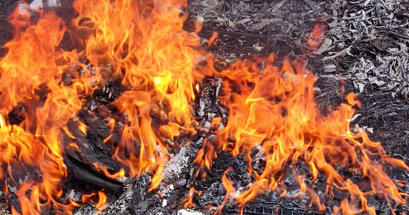 En este momento estás viendo FGR destruye objetos del delito en Colima