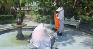 Lee más sobre el artículo Ciudadano atacado por abejas recibe atención médica; Ayuntamiento de Colima da acompañamiento a su familia