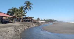 Lee más sobre el artículo Pescadores de Tecomán piden apoyo federal para frenar saqueo de huevos de tortuga en Tecuanillo