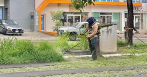 Lee más sobre el artículo Gobierno de Riult Rivera poda y limpia camellón de Ignacio Sandoval