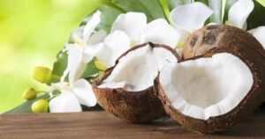 Lee más sobre el artículo Productores de coco en Armería alertan por importación de pulpa desde Indonesia