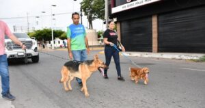 Lee más sobre el artículo Llaman a fomentar adopción y educación para frenar el abandono animal
