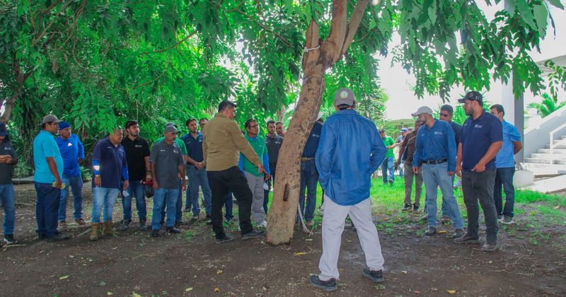 En este momento estás viendo Capacitan a personal universitario para detectar y prevenir enfermedades en el arbolado