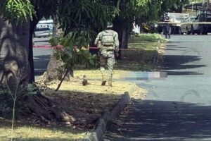 Lee más sobre el artículo Ejecutan a hombre en la colonia Los Almendros, en Villa de Álvarez