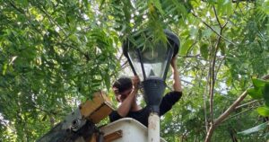 Lee más sobre el artículo Mejora la iluminación en el parque de Palma Real II