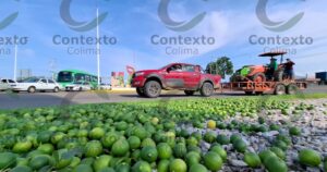 Lee más sobre el artículo Productores de limón se manifiestan en Tecomán por falta de apoyos y caída del precio de la fruta