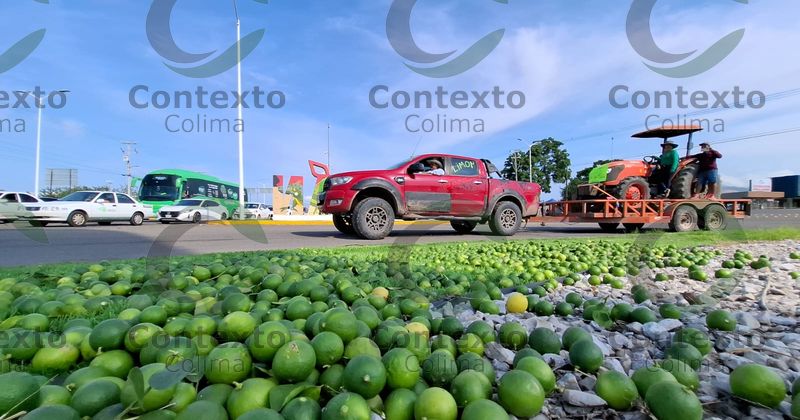 En este momento estás viendo Productores de limón se manifiestan en Tecomán por falta de apoyos y caída del precio de la fruta