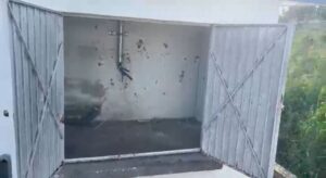 Lee más sobre el artículo Siniestrado el pozo Berrondo en #Cuyutlán; se trabaja para restablecer el servicio de agua potable