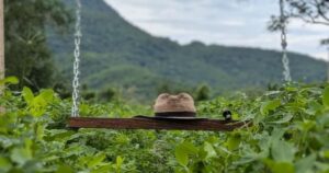 Lee más sobre el artículo Reconocerán a pioneros del cacahuate durante el Festival del Cacahuate en Ixtlahuacán