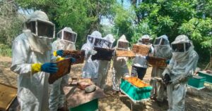 Lee más sobre el artículo UdeC fortalece colaboración con apicultores para prevenir mortandad de abejas