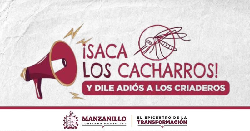 En este momento estás viendo Manzanillo refuerza acciones contra criaderos de mosquitos con jornada de descacharrización