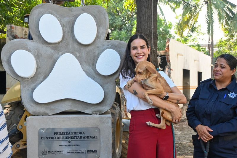 En este momento estás viendo Rosi Bayardo coloca primera piedra del Centro de Bienestar Animal